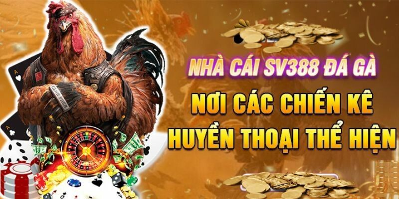 Chức năng livestream 4K rõ nét với công nghệ tiên tiến nhất